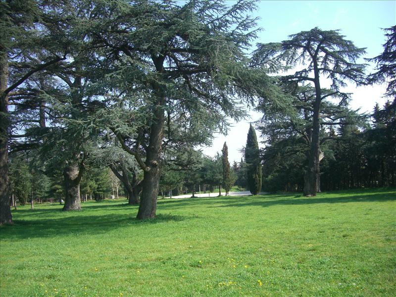 Château de Vestric et Candiac_30600 VESTRIC ET CANDIAC_7